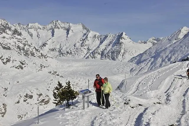 Daire Weisshorn Riederalp